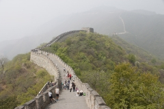 MG_2964